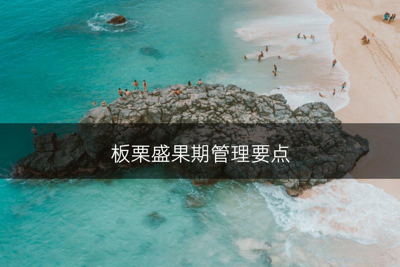 板栗盛果期管理要点(图1) 板栗盛果期管理要点(图1)