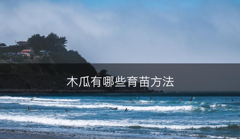 木瓜有哪些育苗方法(图1) 木瓜有哪些育苗方法(图1)