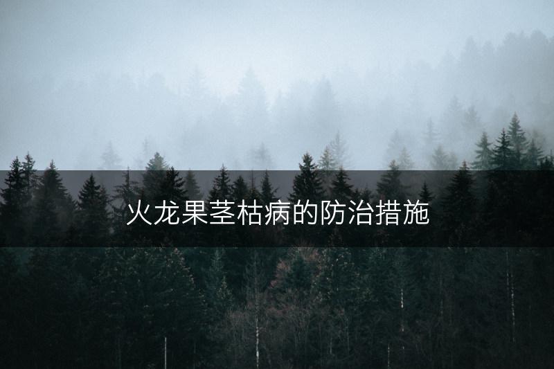 火龙果茎枯病的防治措施(图1)