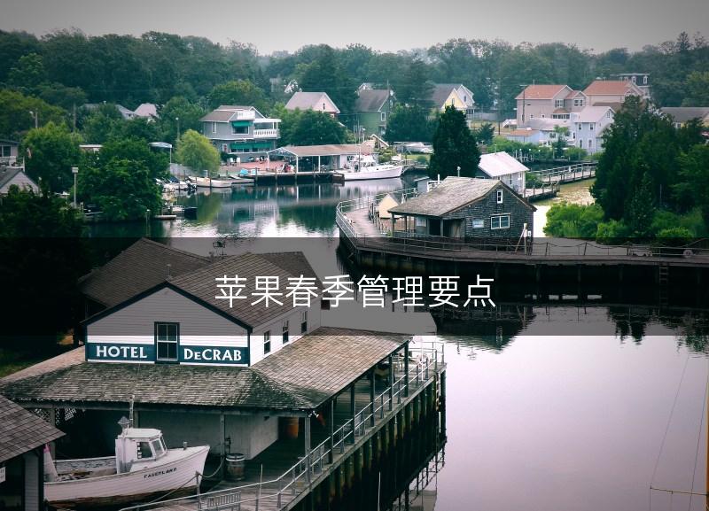 苹果春季管理要点(图1) 苹果春季管理要点(图1)