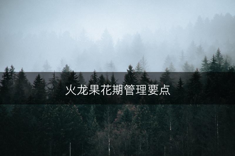 火龙果花期管理要点(图1)