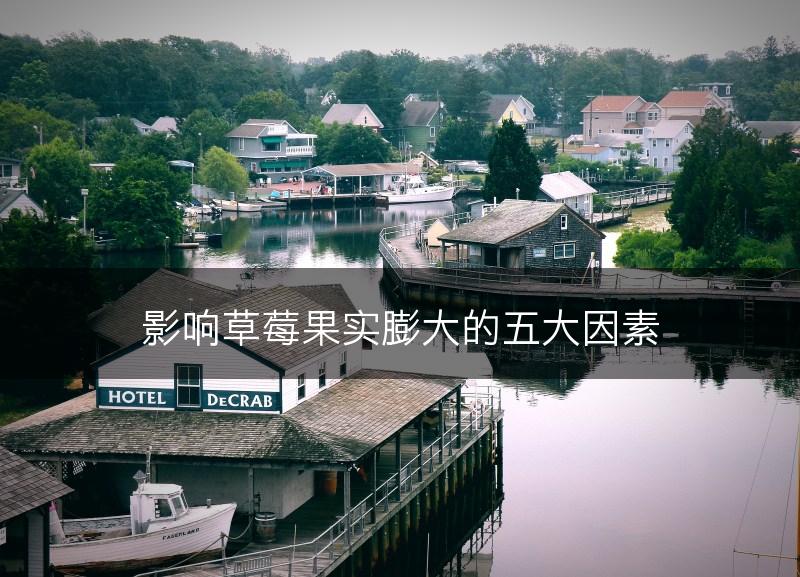 影响草莓果实膨大的五大因素(图1) 影响草莓果实膨大的五大因素(图1)