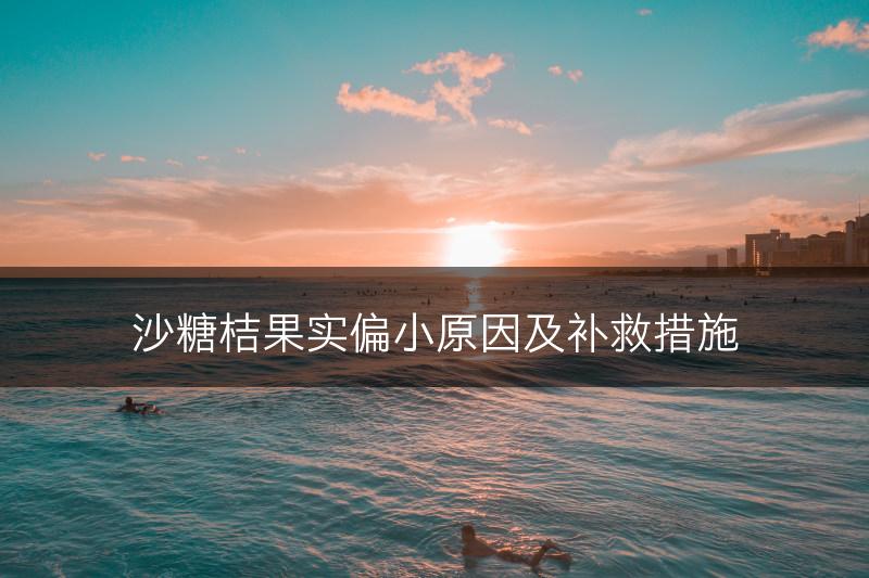 沙糖桔果实偏小原因及补救措施(图1)