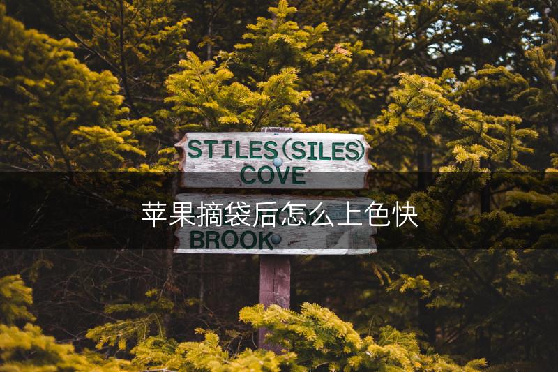 苹果摘袋后怎么上色快(图1) 苹果摘袋后怎么上色快(图1)