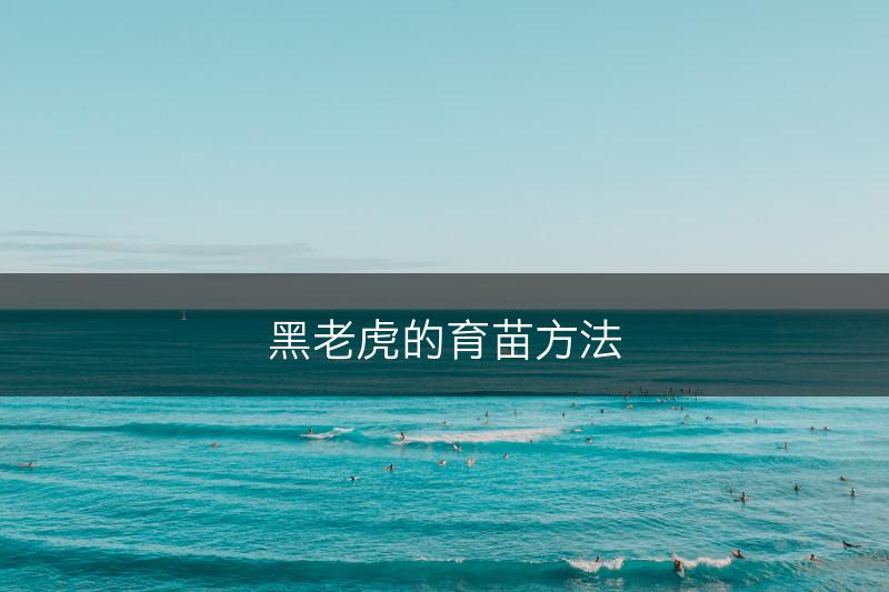 黑老虎的育苗方法(图1)