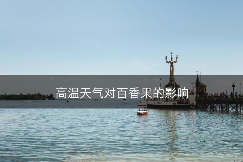 高温天气对百香果的影响(图1)