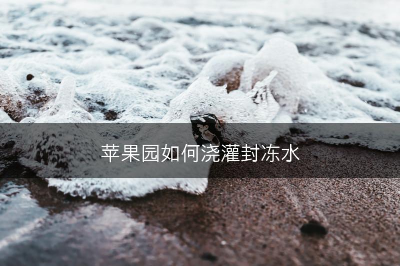 苹果园如何浇灌封冻水(图1)