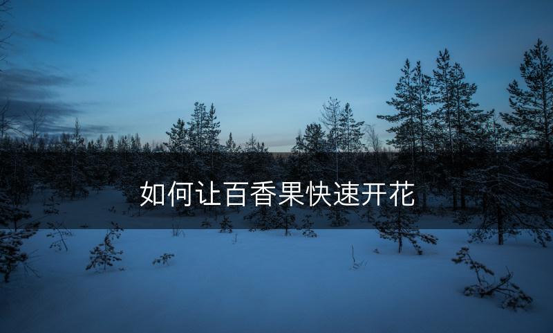 如何让百香果快速开花(图1)