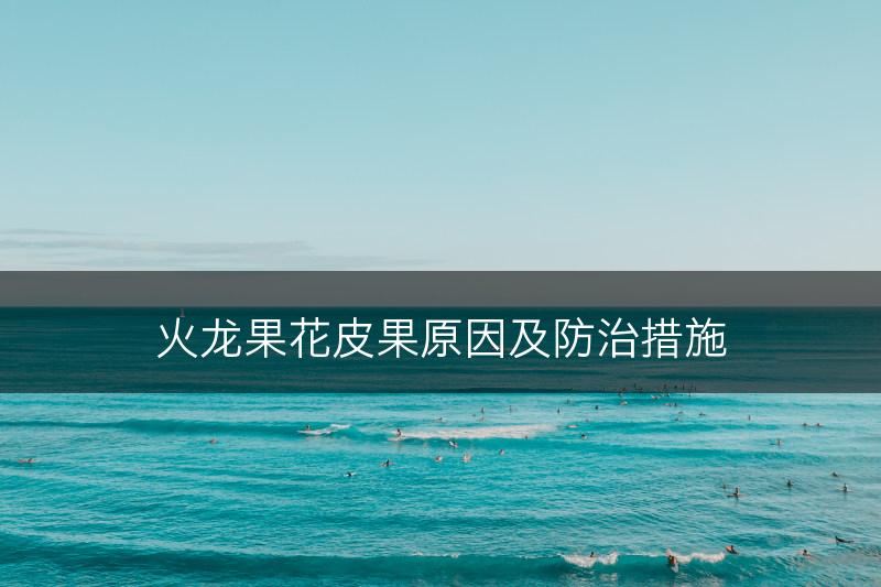 火龙果花皮果原因及防治措施(图1)