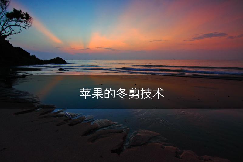 苹果的冬剪技术(图1)