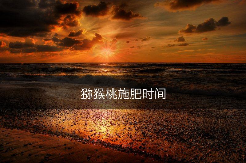 猕猴桃施肥时间(图1)