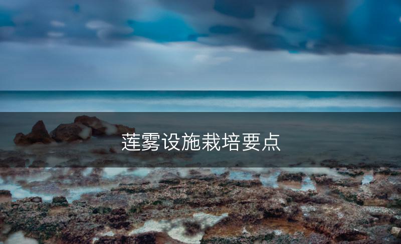 莲雾设施栽培要点(图1)