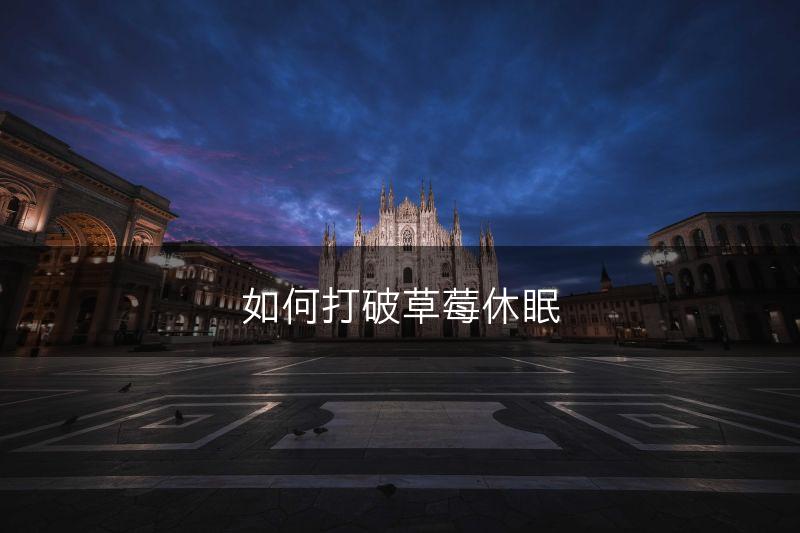 如何打破草莓休眠(图1)