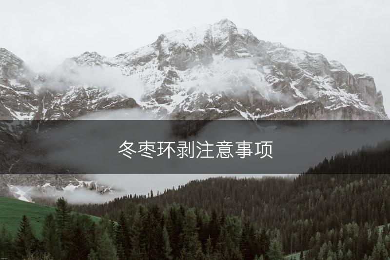 冬枣环剥注意事项(图1)