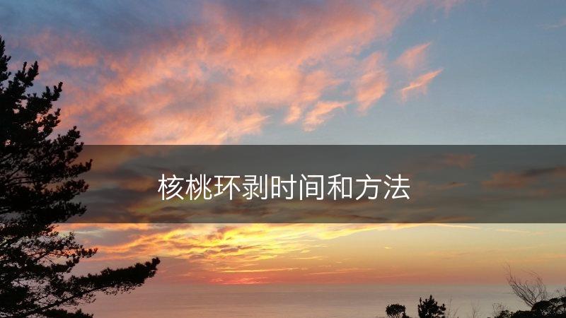核桃环剥时间和方法(图1)
