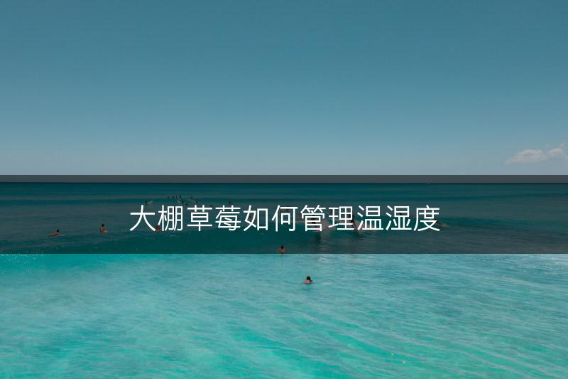 大棚草莓如何管理温湿度(图1)