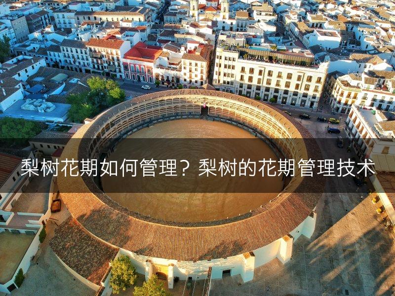 梨树花期如何管理？梨树的花期管理技术(图1)