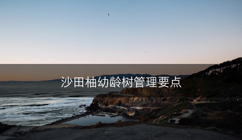 沙田柚幼龄树管理要点(图1)