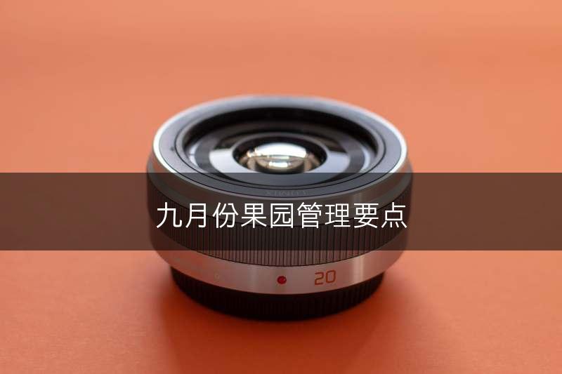 九月份果园管理要点(图1)