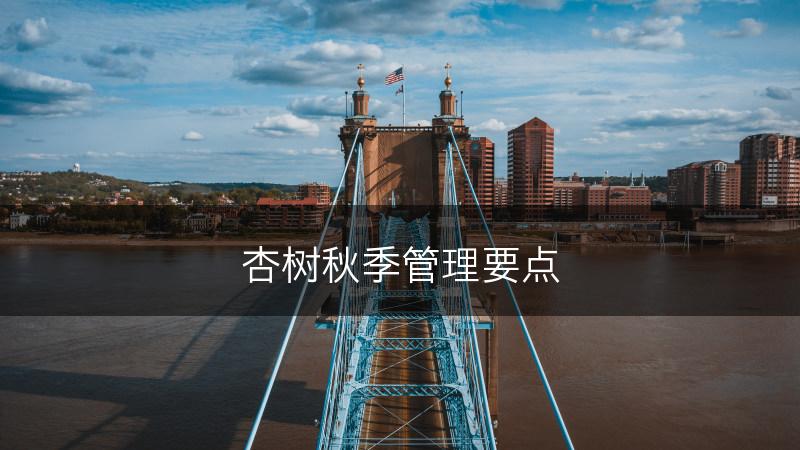 杏树秋季管理要点(图1)