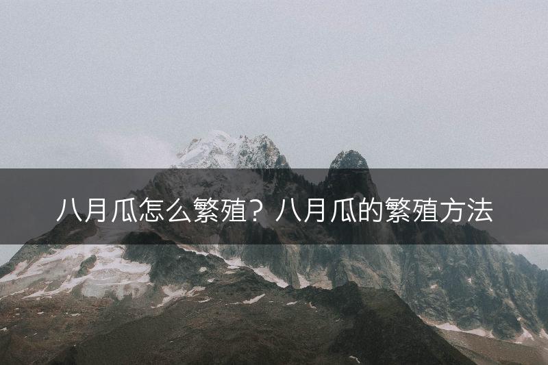 八月瓜怎么繁殖？八月瓜的繁殖方法(图1)