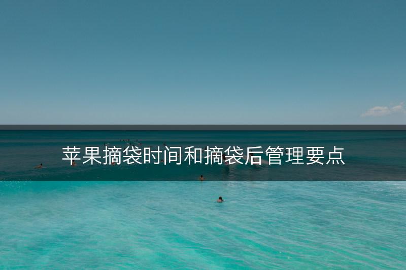 苹果摘袋时间和摘袋后管理要点(图1)