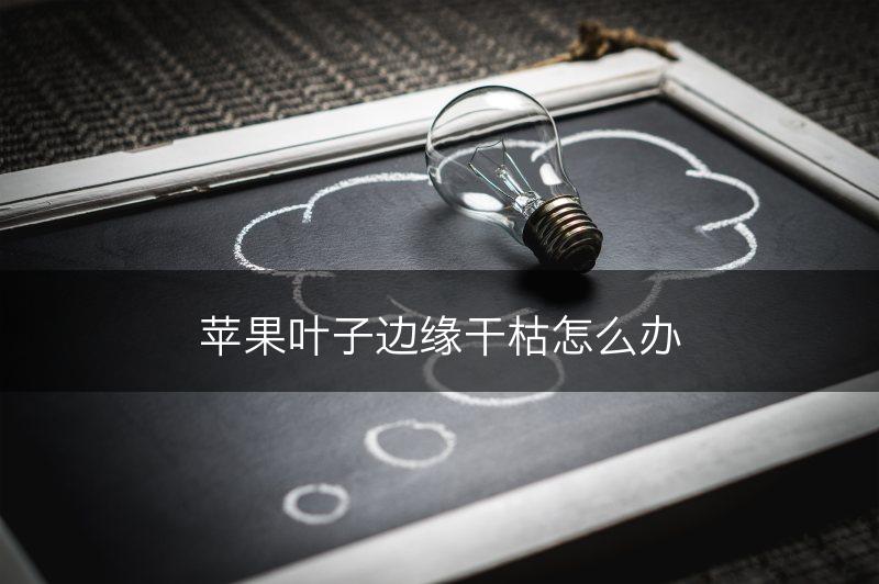 苹果叶子边缘干枯怎么办(图1)