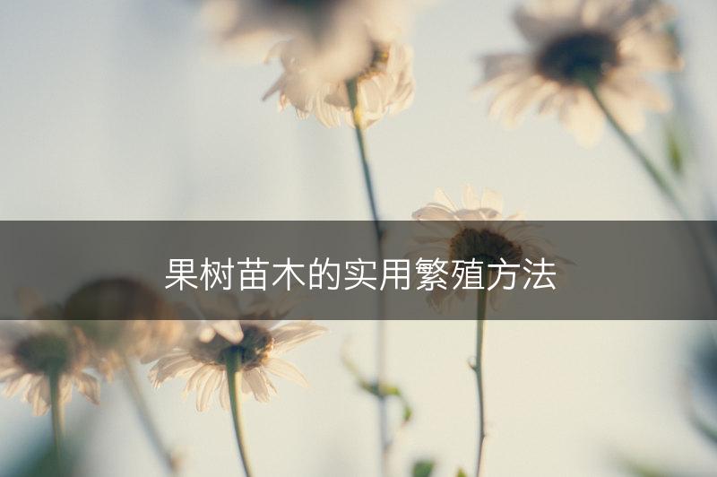 果树苗木的实用繁殖方法(图1)
