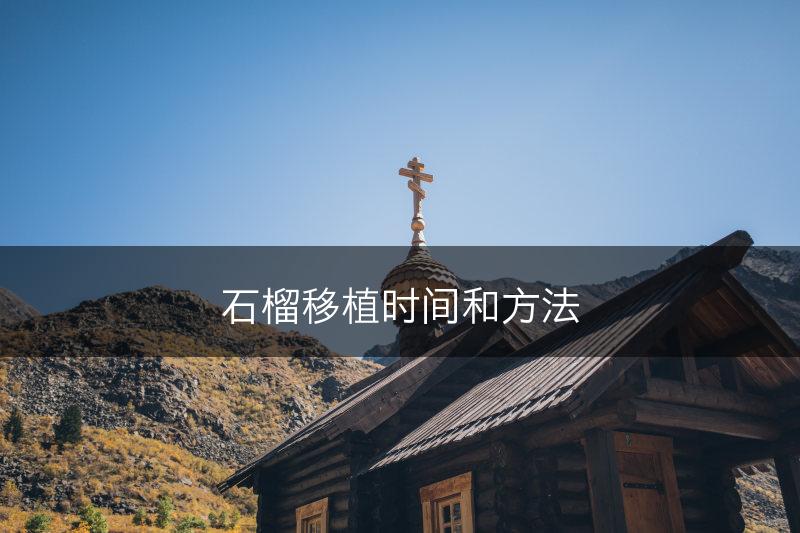 石榴移植时间和方法(图1)