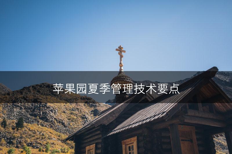 苹果园夏季管理技术要点(图1)