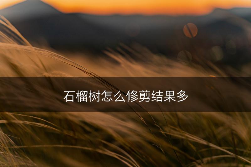 石榴树怎么修剪结果多(图1)