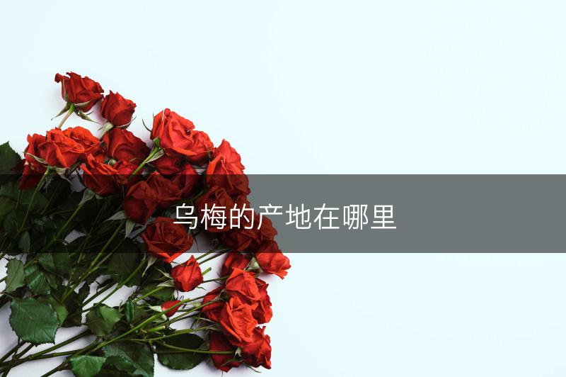 乌梅的产地在哪里(图1)