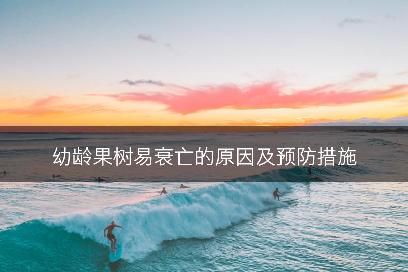 幼龄果树易衰亡的原因及预防措施(图1)