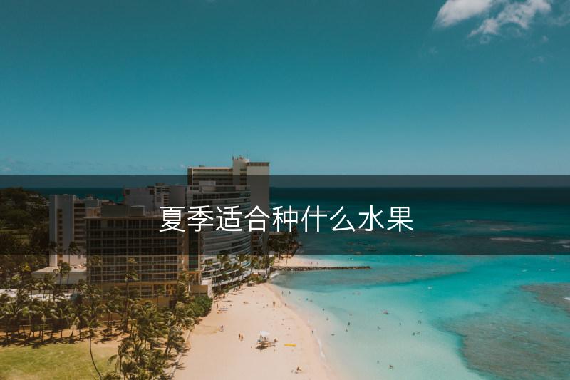夏季适合种什么水果(图1)