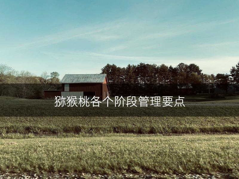 猕猴桃各个阶段管理要点(图1)
