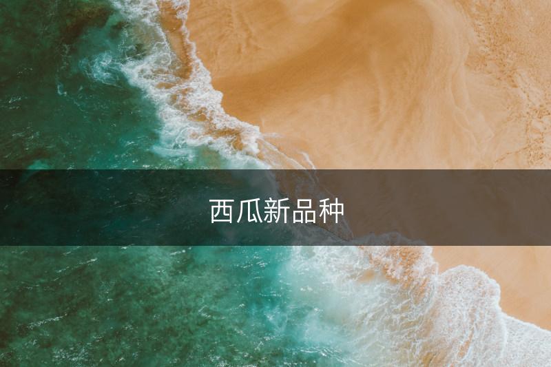 西瓜新品种(图1)