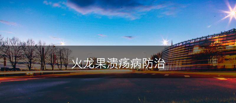 火龙果溃疡病防治(图1)