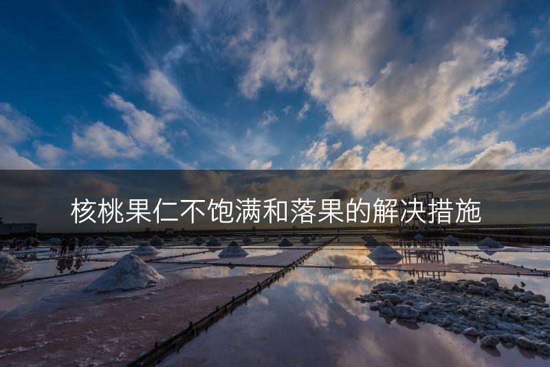 核桃果仁不饱满和落果的解决措施(图1)