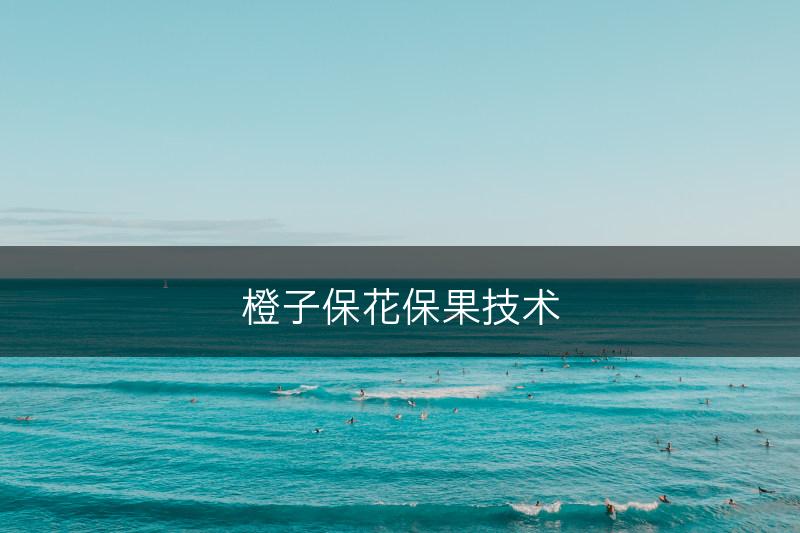 橙子保花保果技术(图1)