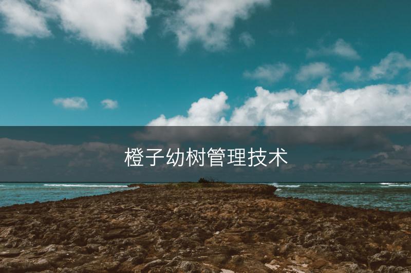 橙子幼树管理技术(图1)