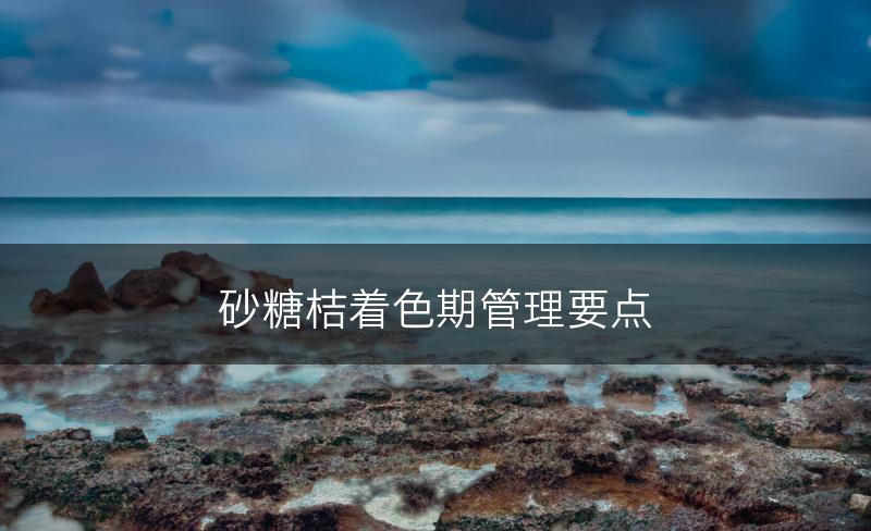 砂糖桔着色期管理要点(图1)