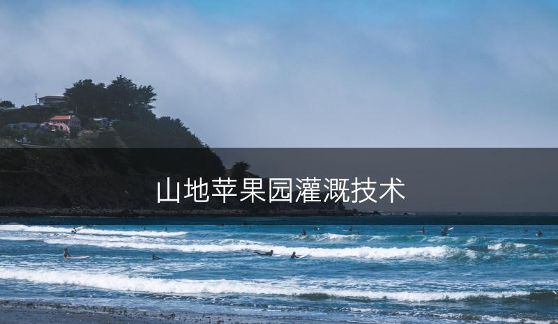 山地苹果园灌溉技术(图1)