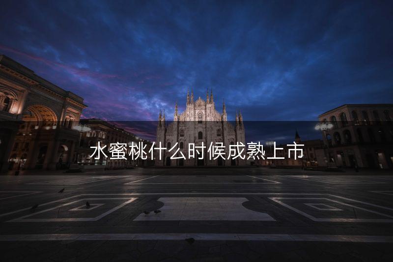 水蜜桃什么时候成熟上市(图1)
