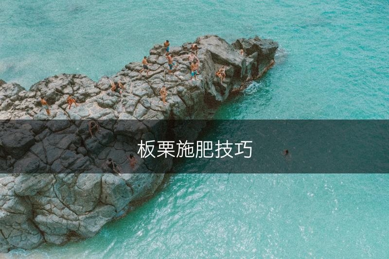 板栗施肥技巧(图1)