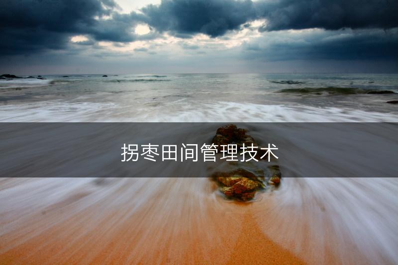 拐枣田间管理技术(图1)