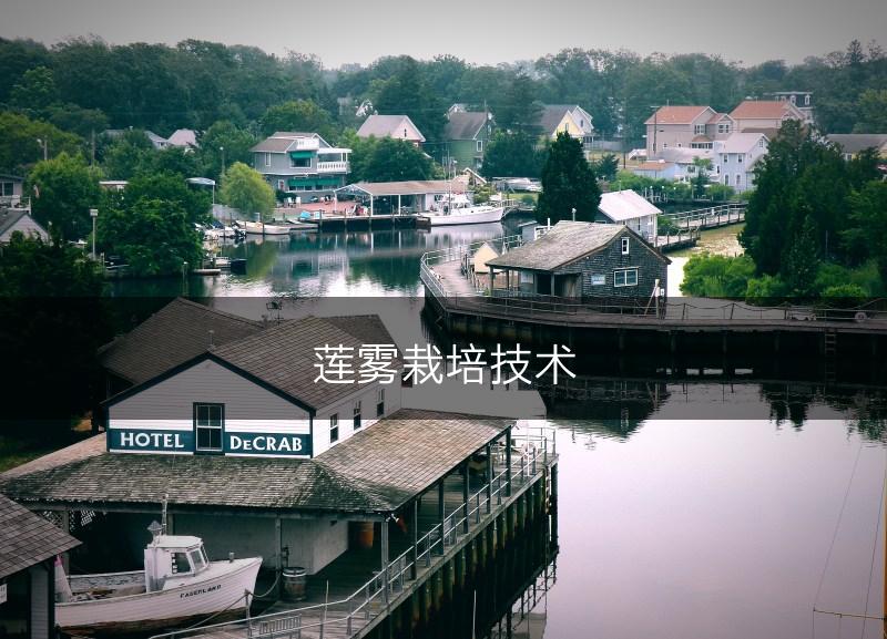 莲雾栽培技术(图1)