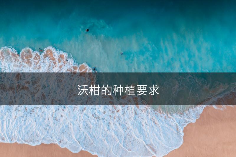 沃柑的种植要求(图1)