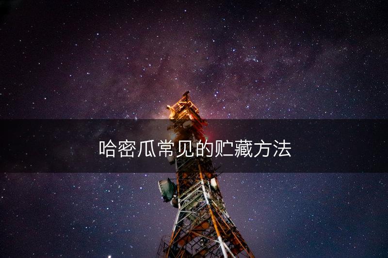 哈密瓜常见的贮藏方法(图1)