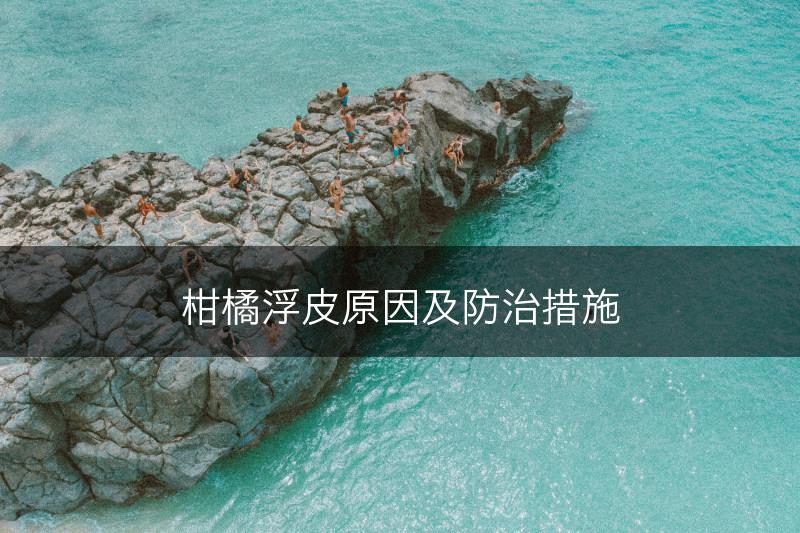 柑橘浮皮原因及防治措施(图1)
