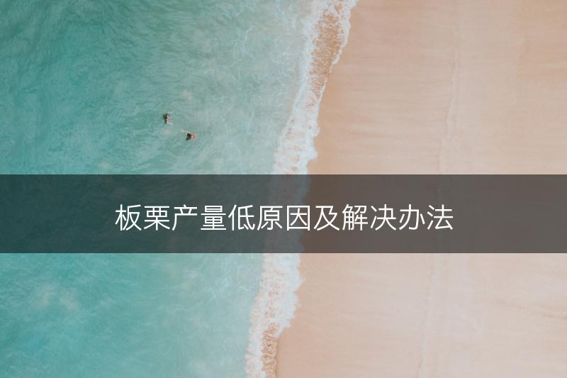 板栗产量低原因及解决办法(图1)
